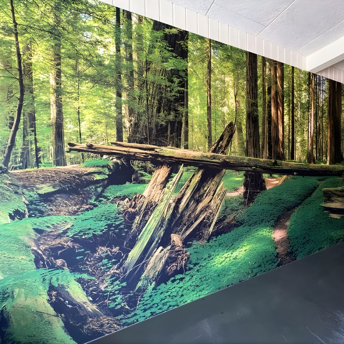Stor vægfolie med naturmotiv af skov og træbro, monteret indendørs som dekorativ væggrafik