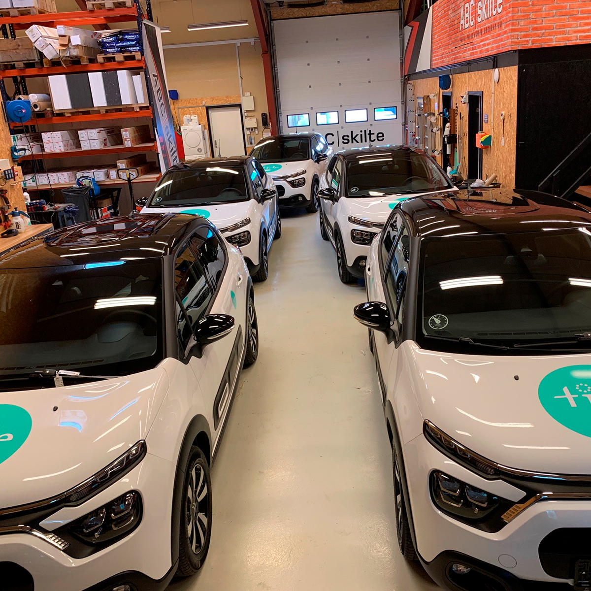 Fem hvide firmabiler parkeret side om side med grønt logo-folie på kølerhjelmen.